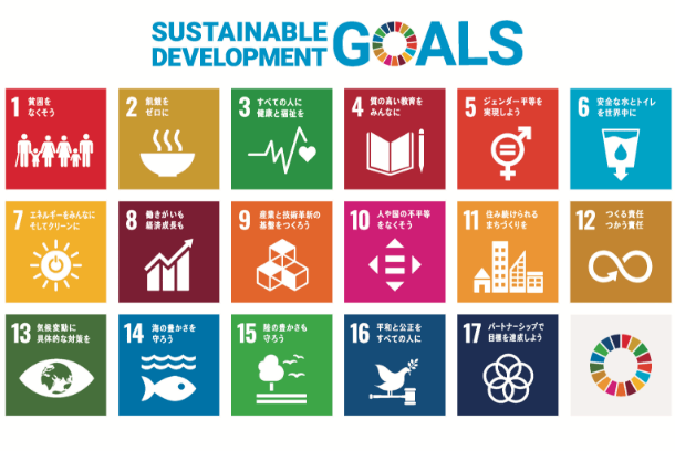 sustainable development goals